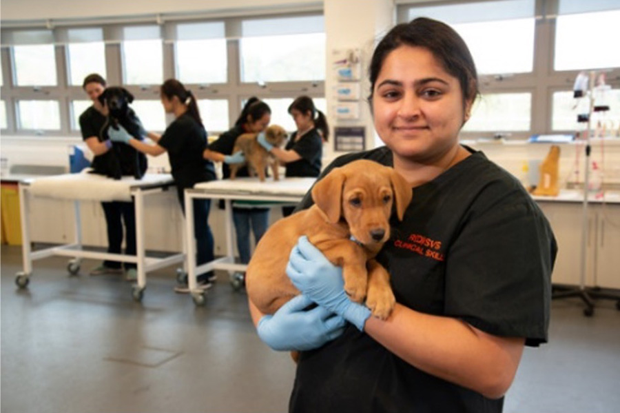 Vet student holding a puppy