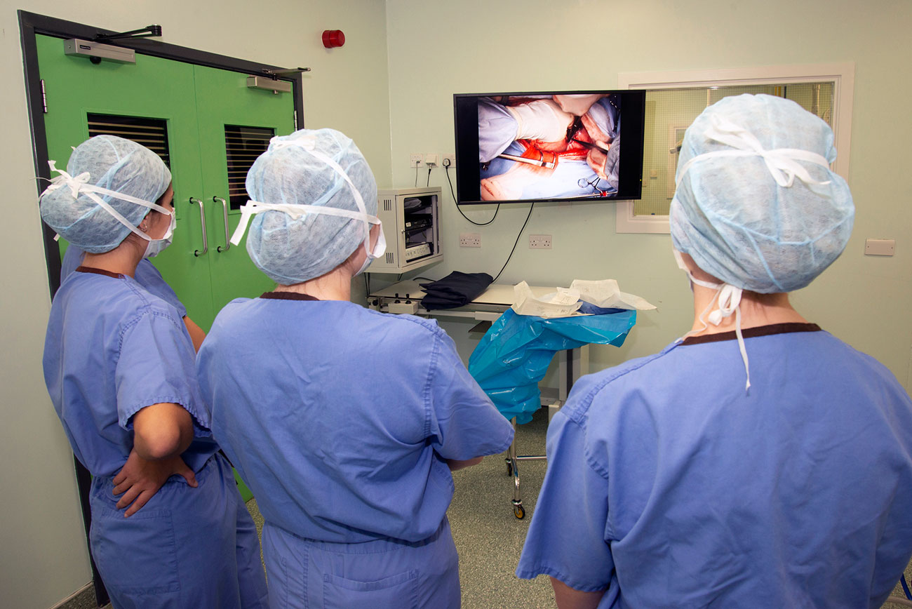 Vet surgeons watching a live video of an operation