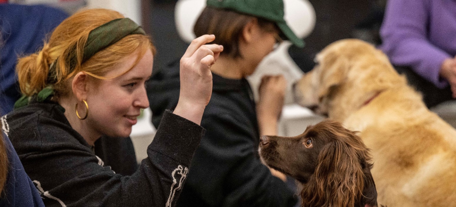 student engaging with dog