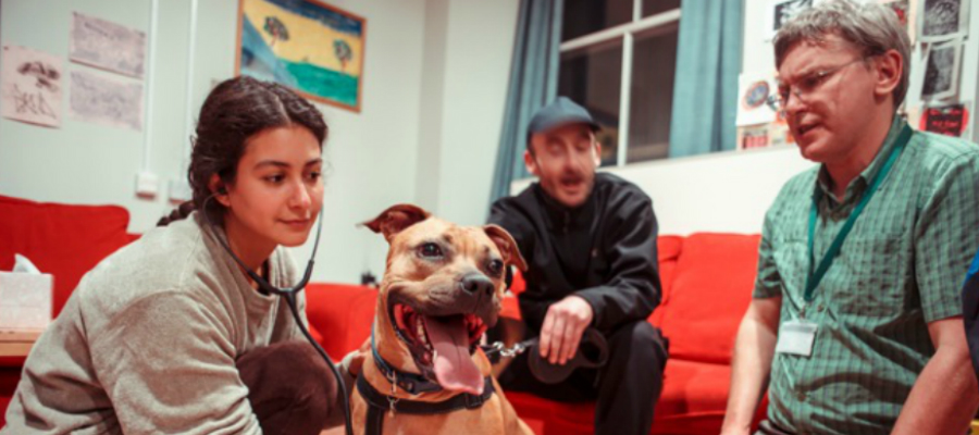 Two vets examine a dog alongside its owner