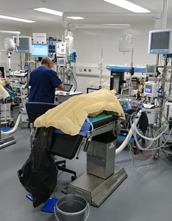 The Wellcome Trust Critical Care Laboratory for Large Animals will move into the LARIF